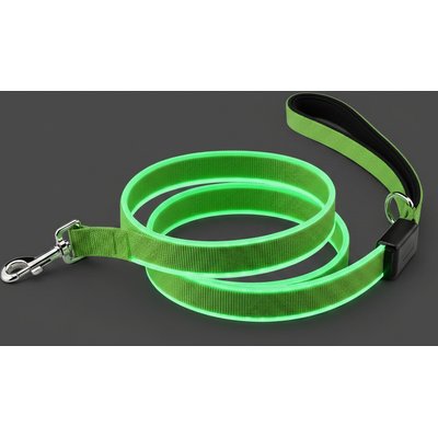 MEGAPAWS MEGAPAWS Rechargeable LED Light-Up Dog Leash, 5-ft long, 5/6-in wide, Green