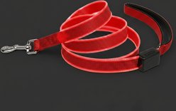 MEGAPAWS Rechargeable LED Light-Up Dog Leash, 5-ft long, 5/6-in wide, Red