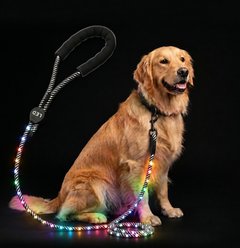 MEGAPAWS LED Light Up Reflective Nylon Dog Leash with Type-C Charging, 4-ft long, 3/8-in wide, Rainbow