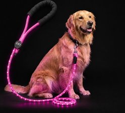 MEGAPAWS LED Light Up Reflective Nylon Dog Leash with Type-C Charging, 4-ft long, 3/8-in wide, Pink