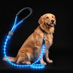 MEGAPAWS LED Light Up Reflective Nylon Dog Leash with Type-C Charging, 4-ft long, 3/8-in wide, Blue