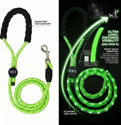 MEGAPAWS LED Light Up Reflective Nylon Dog Leash with Type-C Charging, 4-ft long, 3/8-in wide, Green slide 2 of 7