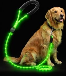 MEGAPAWS LED Light Up Reflective Nylon Dog Leash with Type-C Charging, 4-ft long, 3/8-in wide, Green