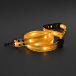 MEGAPAWS Waterproof PVC LED Dog Leash with Colorful Light Strip, 3.5-ft long, 5/6-in wide, Yellow slide 1 of 8