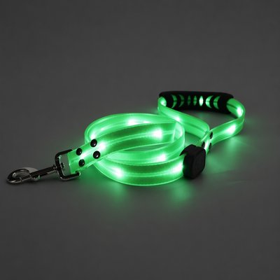 MEGAPAWS MEGAPAWS Waterproof PVC LED Dog Leash with Colorful Light Strip, 3.5-ft long, 5/6-in wide, Green
