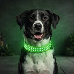 MEGAPAWS Rechargeable Waterproof Double Optical Fiber Glowing LED Dog Collar, Green, Large: 20 to 23-in neck, 0.99-in wide