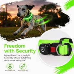 MEGAPAWS 8-Color Flashing Rechargeable Waterproof Adjustable LED Dog Collar, Pink, Medium: 13 to 19-in neck, 0.79-in wide slide 2 of 9