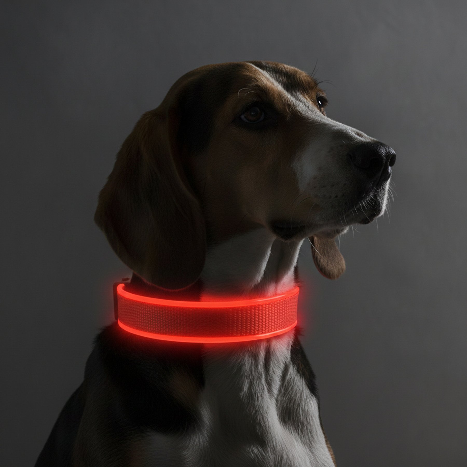 MEGAPAWS Rechargeable Adjustable High-Visibility LED Dog Collar, Red, Small: 8 to 12-in neck, 0.79-in wide