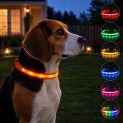 MEGAPAWS 8-Color Flashing Rechargeable Waterproof Adjustable LED Dog Collar, Orange, Medium: 13 to 19-in neck, 0.79-in wide