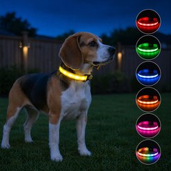 MEGAPAWS 8-Color Flashing Rechargeable Waterproof Adjustable LED Dog Collar, Yellow, Large: 15 to 21-in neck, 0.79-in wide