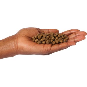 Natural Balance Limited Ingredient Lamb & Brown Rice Puppy Recipe Dry Dog Food, 24-lb bag