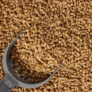 Catalyst Pet Pine Pellet Unscented Non-Clumping Wood Cat Litter, 20-lb bag