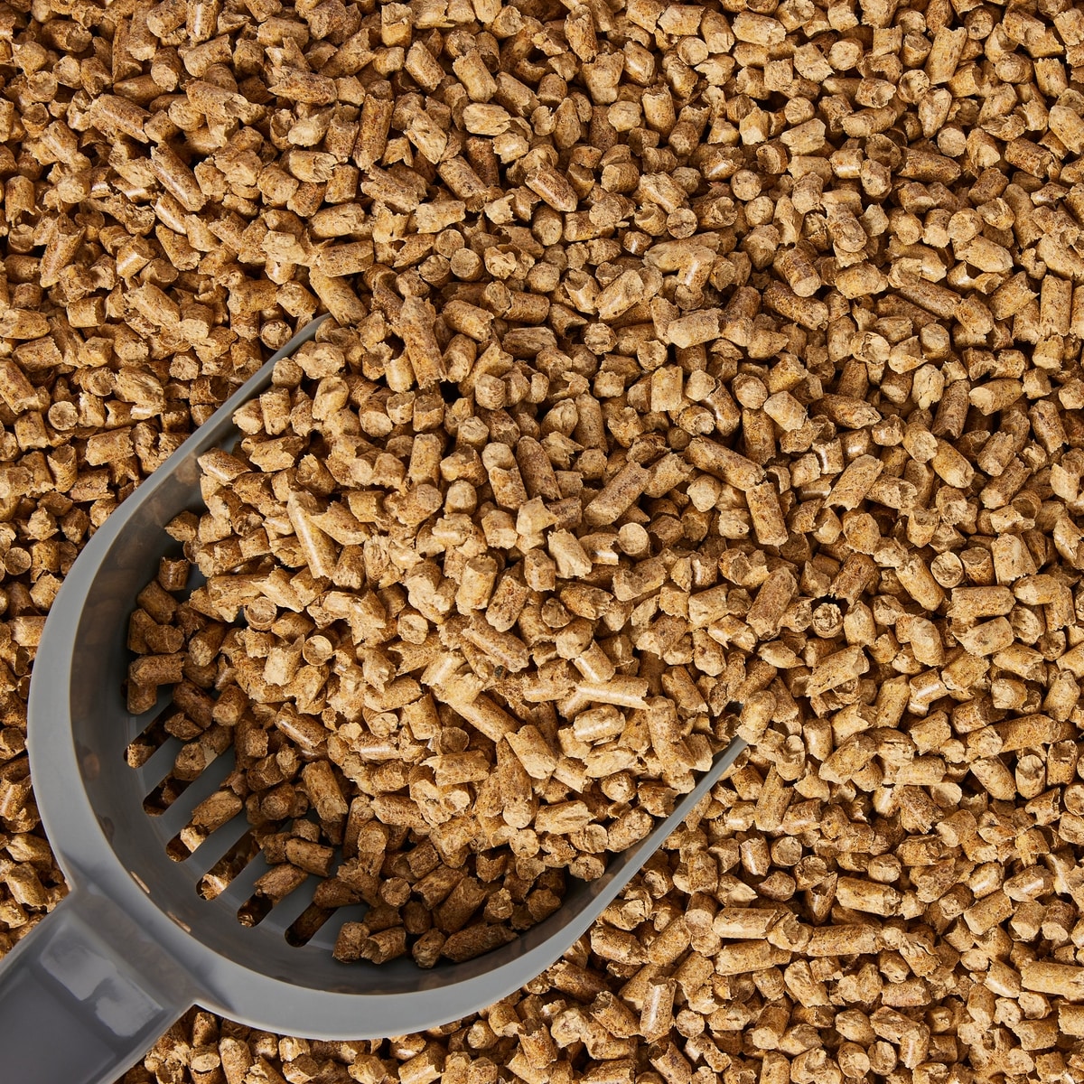 CATALYST PET Pine Pellet Unscented Non-Clumping Wood Cat Litter, 20-lb ...