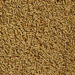 Sunglo Complete Pellet Show Goat Feed, 50-lb bag slide 2 of 3