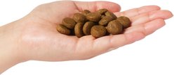Farmina N&D Ocean Canine Adult Cod, Pumpkin & Orange Dry Dog Food, 22-lb bag slide 2 of 3