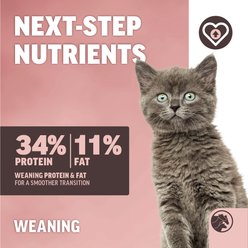 ANNUSO Next-Step Weaning Formula 34:11 Milk Replacer Flavored Powder Supplement for Kitten Cat, 12-oz can slide 2 of 7