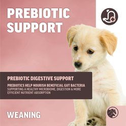ANNUSO Next-Step Weaning Formula 26:12 Milk Replacer Flavored Powder Supplement for Puppy Dog, 12-oz can slide 2 of 6