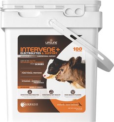 LIFELINE INTERVENE+ Advanced Electrolytes & Support Powder Calf Supplement, 10-lb bag