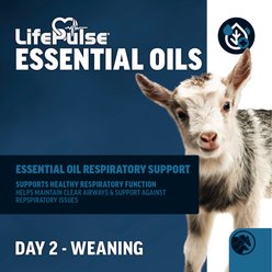 LIFELINE 23:21 Milk Replacer Powder Livestock Supplement, 6-lb bag slide 2 of 7