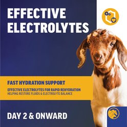 LIFELINE BALANCE Electrolyte Powder Livestock Supplement, 1-lb bag slide 2 of 4