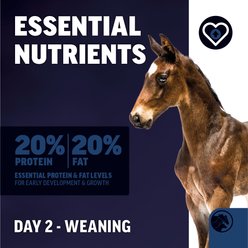 LIFELINE 20:20 Livestock Milk Replacer Powder Livestock Supplement, 10-lb bag slide 2 of 5