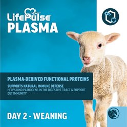 LIFELINE 26:24 Milk Replacer Powder Livestock Supplement, 4-lb bag slide 2 of 7