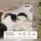 Show in main carousel: Bedsure ComfyFleece Waterproof Dog & Cat Blanket, Cream, Twin slide 5 of 9