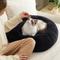 Show in main carousel: Bedsure Calming Fluffy Plush Faux Fur Anti-Slip Donut Machine-Washable Bolster Dog & Cat Bed, Black, X-Small slide 7 of 7