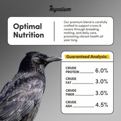 Mycelium Feeds Premium High-Energy, No-Mess Corn, Ravens Seed-Blends Wild Bird Food, 5-lb bag slide 2 of 9
