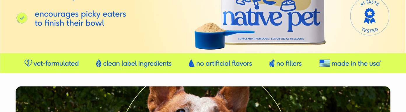 A vibrant, lime-green horizontal banner outlines core brand promises using clean, blue typographic text and icons. The graphic symbols emphasize five essential quality standards: vet-formulated, clean label ingredients, no artificial flavors, no fillers, and proudly made in the USA