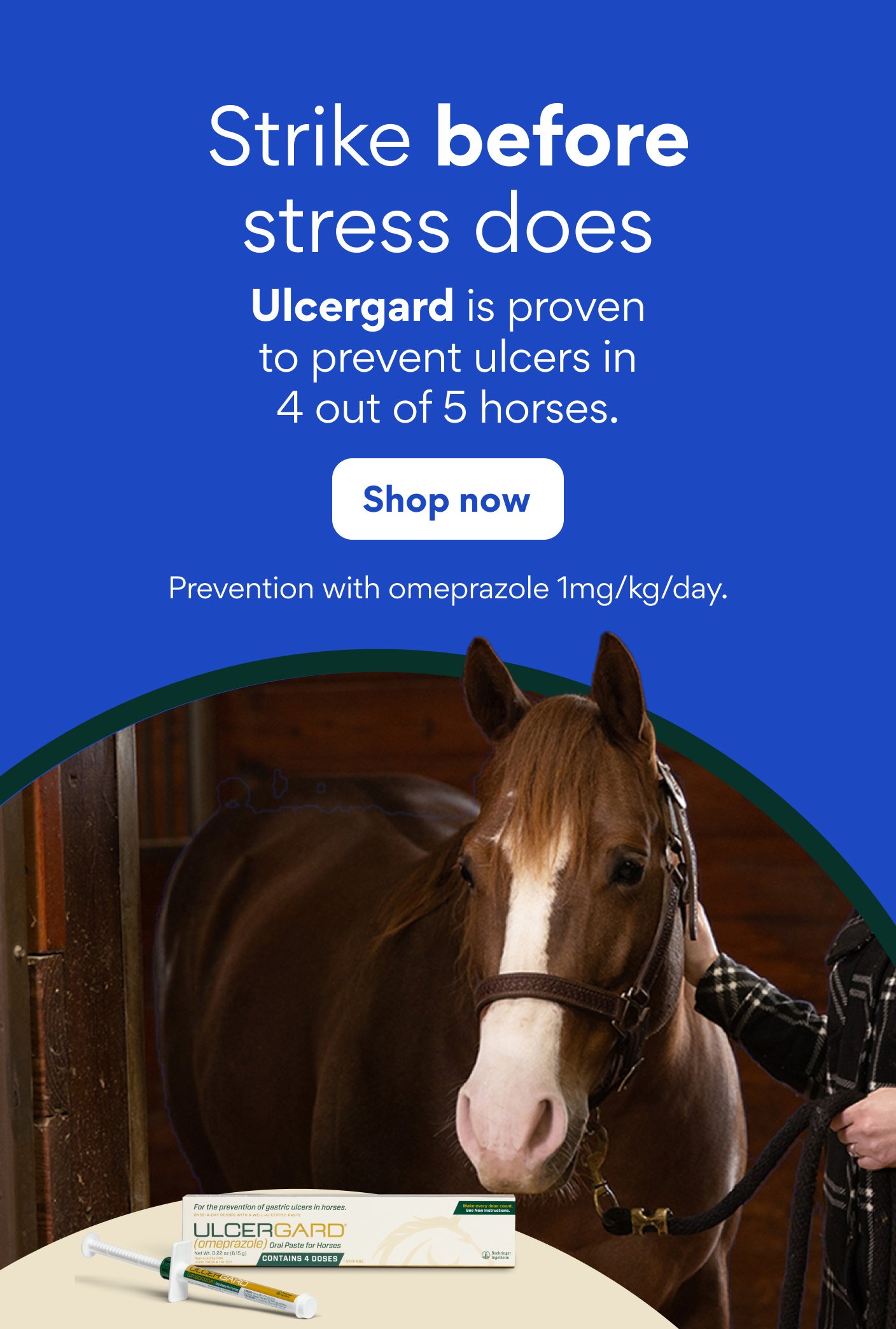 Strike before stress does. Ulcergard is proven to prevent ulcers in 4 out of 5 horses. Prevention with omeprazole 1mg/kg/day.