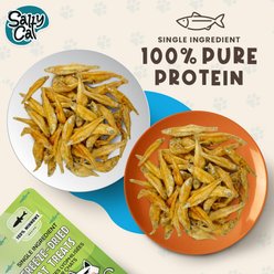 Salty Cat 100% Minnow Freeze-Dried Cat Treats, 0.35-oz slide 2 of 9