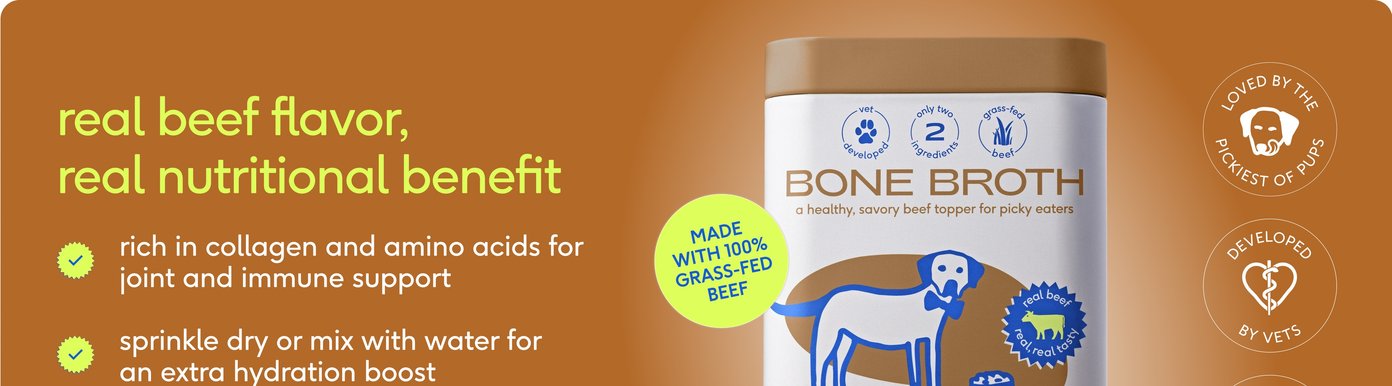 A brown background showcases the benefits of Native Pet Bone Broth, a healthy, savory beef topper formulated for picky eaters. Text highlights that the product is rich in collagen and amino acids for joint and immune support, encourages picky eaters to finish their bowl, and can be sprinkled dry or mixed with water for an extra hydration boost. A large white canister of the supplement features a graphic of a dog with a blue bowtie, a bright neon green badge reading "Made with 100% grass-fed beef," and a blue scoop filled with bone broth powder sits nearby.