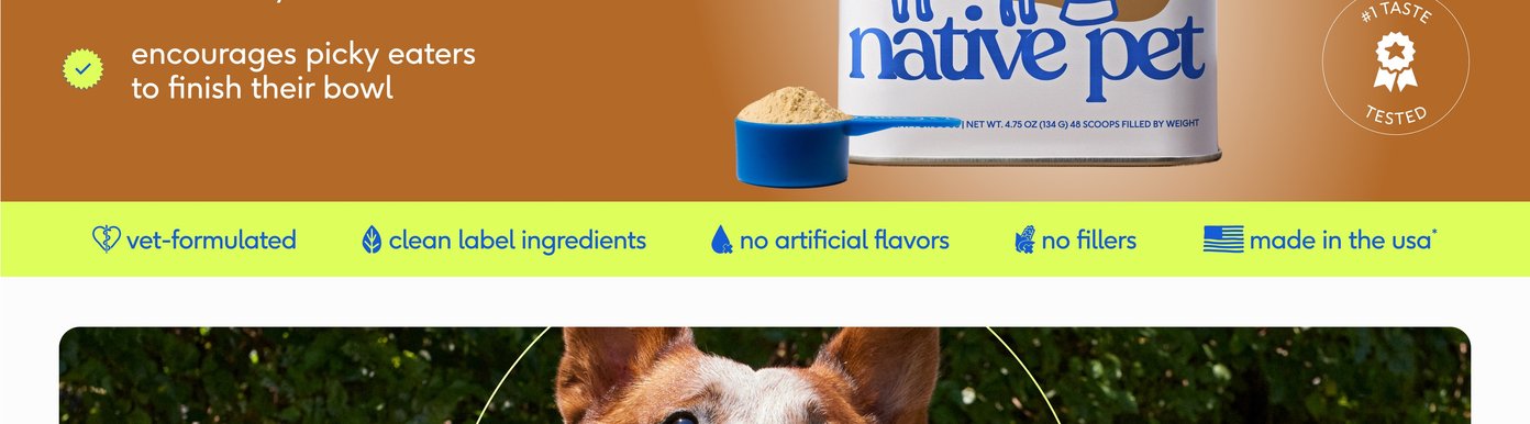 A vibrant lime green banner displays five circular icons outlining strict brand standards, indicating that the products are vet-formulated, contain clean label ingredients, use no artificial flavors, contain no fillers, and are proudly made in the USA. Directly above the banner, a blue measuring scoop filled with tan powder rests alongside the bottom of a white Native Pet supplement container. A small section of a lifestyle image at the bottom displays a medium-sized brown dog outdoors against a green leafy backdrop, surrounded by a thin chartreuse circular callout.