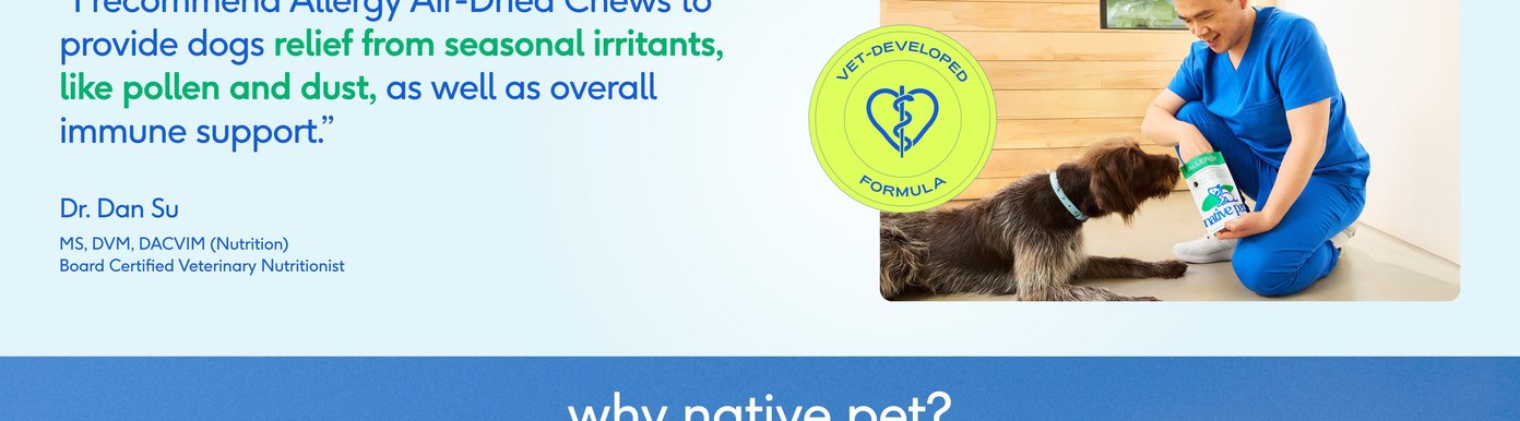 • Expert Quote: The graphic displays a professional endorsement from Dr. Dan Su, who states: "...recommend Allergy Air-Dried Chews to provide dogs relief from seasonal irritants, like pollen and dust, as well as overall immune support." • Credentials: Dr. Dan Su is listed with the credentials MS, DVM, DACVIM (Nutrition) and is identified as a Board Certified Veterinary Nutritionist. • Visual Elements: On the right, a picture shows Dr. Su wearing blue scrubs while kneeling down to interact with a brown dog and holding a white Native Pet "Allergy" package. A bright lime-green circular seal reading "VET-DEVELOPED FORMULA" overlaps the image.