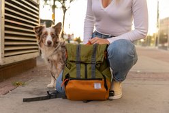 K9 Sport Sack Urban 3 Leaf Dog Carrier, Green, Medium slide 2 of 9