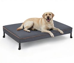 Veehoo Chew Proof Elevated Dog Bed with Exclusive Cover, Dark Grey, X-Large: 41 x 27 x 7-in