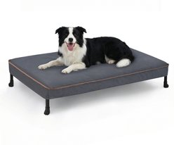 Veehoo Chew Proof Elevated Dog Bed with Exclusive Cover, Dark Grey, Large: 35 x 22 x 7-in