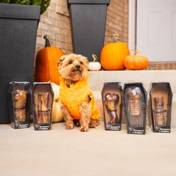 The Country Butcher Shrink Wrap in Halloween Small Coffin Pork Dino Dog Bone, 6.5-oz box slide 2 of 7