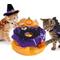 Show in main carousel: Migipaws Interactive Sensor-Activated Halloween Cat Toy slide 1 of 10