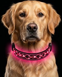 MEGAPAWS Light Up Nylon Dog Collar, Pink, Large: 17 to 27-in neck, 0.79-in wide