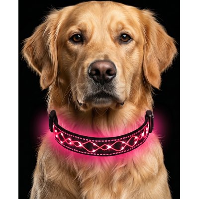 MEGAPAWS MEGAPAWS Light Up Nylon Dog Collar, Pink, Small: 9 to 14-in neck, 0.79-in wide