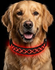 MEGAPAWS Light Up Nylon Dog Collar, Red, Small: 9 to 14-in neck, 0.79-in wide