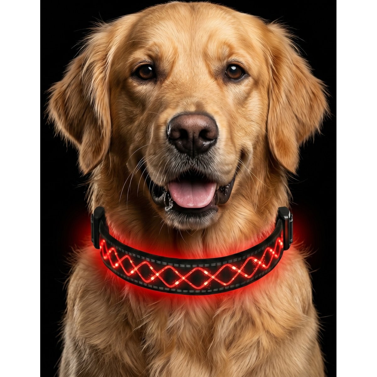 MEGAPAWS Light Up Nylon Dog Collar, Red, Large: 17 to 27-in neck, 0.79-in wide