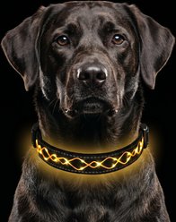 MEGAPAWS Light Up Nylon Dog Collar, Orange, Large: 17 to 27-in neck, 0.79-in wide