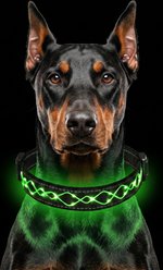 MEGAPAWS Light Up Nylon Dog Collar, Green, Small: 9 to 14-in neck, 0.79-in wide slide 1 of 9