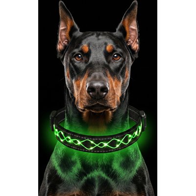 MEGAPAWS MEGAPAWS Light Up Nylon Dog Collar, Green, Medium: 13 to 21-in neck, 0.79-in wide