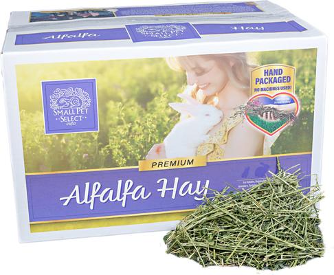 Small Pet Select Alfalfa Hay