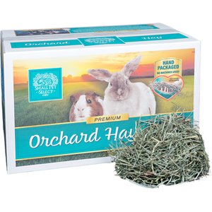 Small Pet Select Orchard Grass Hay Small Animal Food, 20-lb box
