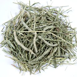 Small Pet Select First Cut Timothy Hay Small Animal Food, 20-lb box slide 2 of 9